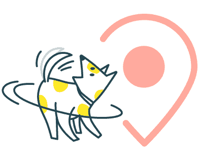 Custard the T4G dog laying on the world